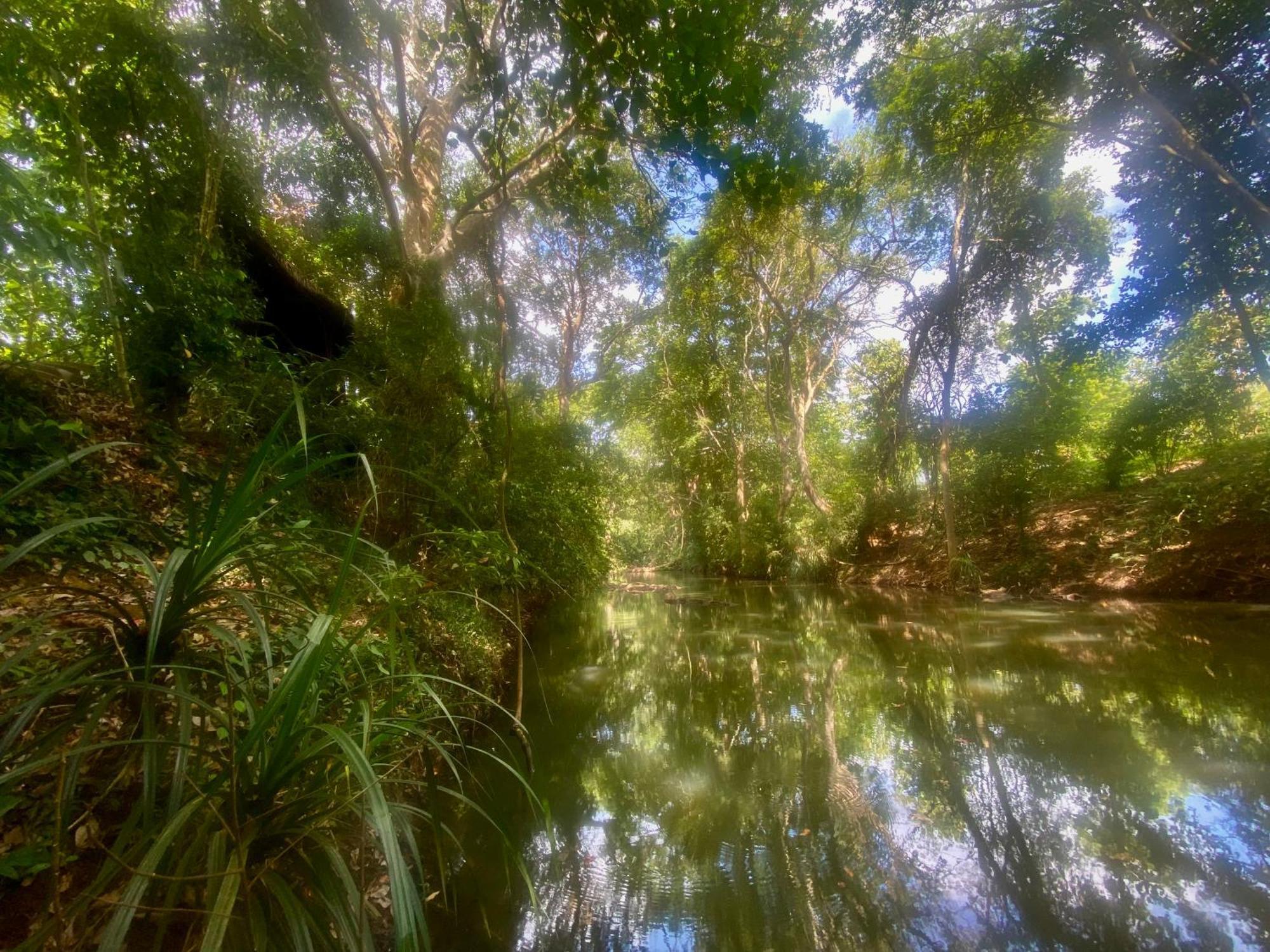 Chika'S Place River View Udawalawa Udawalawe Εξωτερικό φωτογραφία
